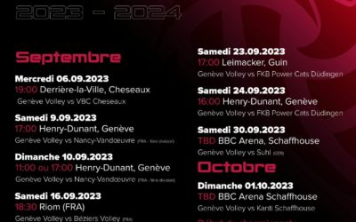 Matchs de préparation