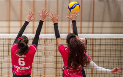 LNA – Une saison solide, des bases pour aller plus loin